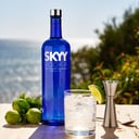 Foto de VODKA SKYY