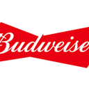 Foto de PACK BUDWEISER