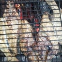 Foto de Pescado zarandeado