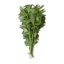 Foto de Albahaca