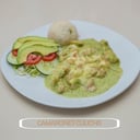 Foto de culichis