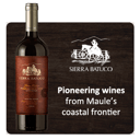Foto de SIERRA BATUCO RESERVA CABERNET SAUVIGNON
