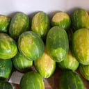 Foto de SANDIA