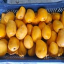 Foto de MANGO ATAULFO