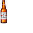 Foto de BUDWEISER BOTELLA X 343ML.