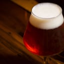 Foto de Irish Red - Kraken (MEDALLA DE BRONCE EN EL SBC 2014)