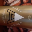 Foto de Andes rubia 473ml