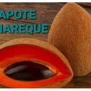 Foto de ZAPOTE