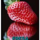 Foto de FRESA