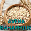 Foto de AVENA