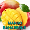 Foto de MANGO