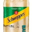 Foto de GINGER 1.75ml PET