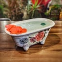 Foto de Guinea Floral