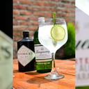 Foto de Oveja Gin Tonic Clásico - Ginebra