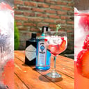 Foto de Oveja Gin Tonic Frutos Rojo - Ginebra