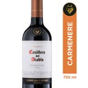 Foto de Vino casillero del diablo carmenere 750ml
