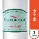 Foto de Benedictino sin gas 3L