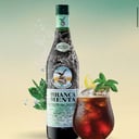 Foto de Mint Tonic