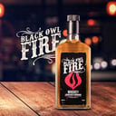 Foto de BLACK OWL FIRE