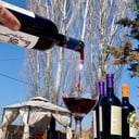 Foto de Linea Serbal de Atamisque