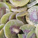 Foto de Kiwi Rodajas