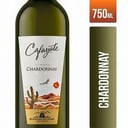 Foto de Cafayate BlancoTorrontés