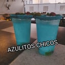 Foto de Azulito chico