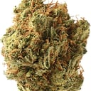 Foto de Amnesia Haze