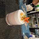Foto de LITMUS SOUR