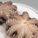 Foto de PULPO