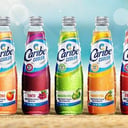 Foto de Caribe Cooler 300ml