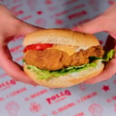 Foto de Burger Individual