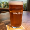 Foto de Pinta Patagonia Amber