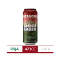 Foto de Patagonia Amber Lager 473cc