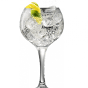 Foto de Gin tonic