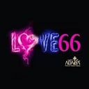 Foto de SHISHAS SABOR LOVE 66