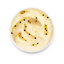 Foto de CREMA MARACUYÁ x 10lts. (categoría extra especial)