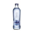 Foto de Agua Mineral Con Gas Vital 330cc