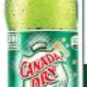 Foto de Ginger 300ml