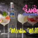 Foto de Martin Miller's Artic