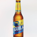 Foto de Águila original