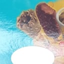 Foto de PALETA SAHNE-NUSS