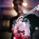 Foto de GIN frutos rojos gin frutos rojos menta tónica