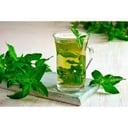 Foto de AROMATICA DE HIERBA
