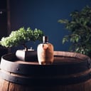 Foto de Pampero aniversario 