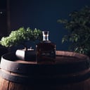 Foto de Flor de caña 12