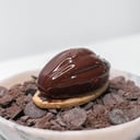 Foto de CACAO