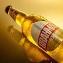 Foto de BRAHMA DORADA