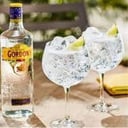 Foto de GIN TONIC