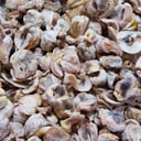 Foto de Snakis de mangostino - 60gr